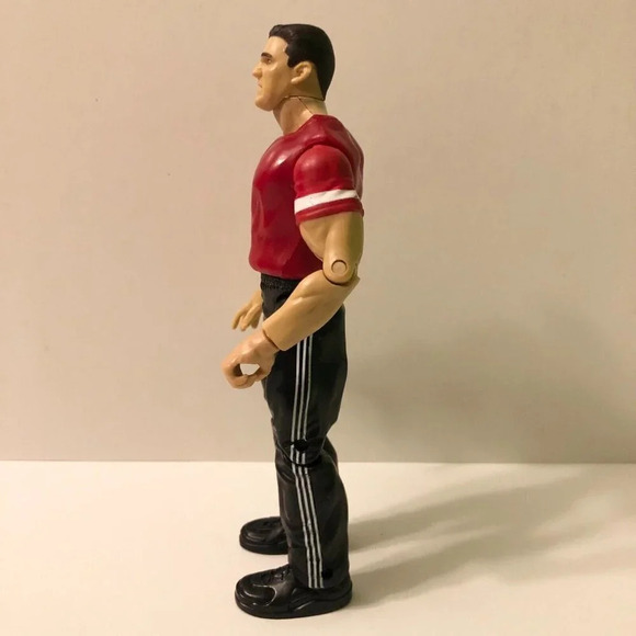 1999 WWE Titan  Tron Shane McMahon Jakks Pacific Wrestling Action Figure - Picture 4 of 8